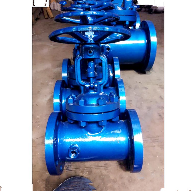 Stainless Steel Jacketed Gate Valve Bz41W — PVPeW 2026