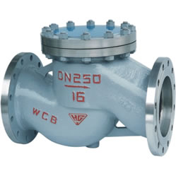 H41H Lift-Type Check Valve — PVPeW 2026