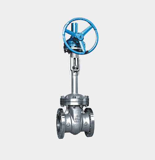 Cryogenic Gate Valve — PVPeW 2026