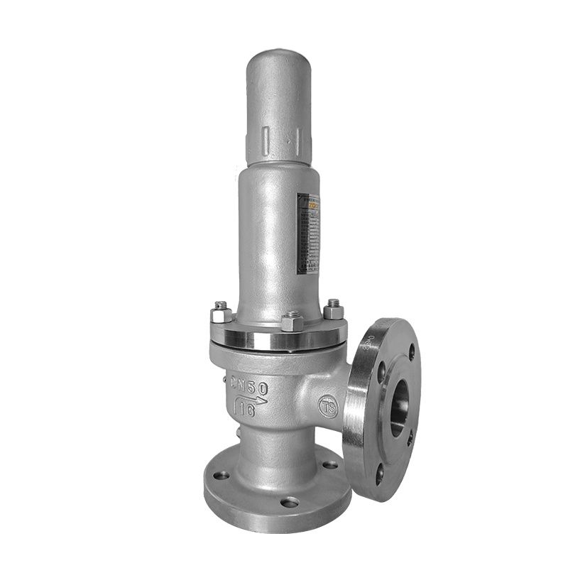 A41 Type Sealed Micro-Opening Spring Safety Valve — PVPeW 2026