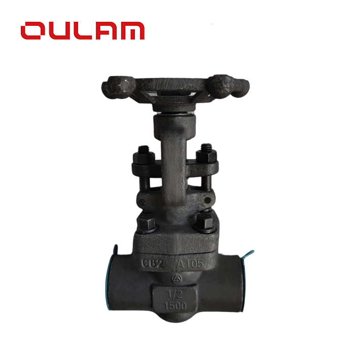 Welded Gate Valve Z61Y_ _ Gate Valve — PVPeW 2026