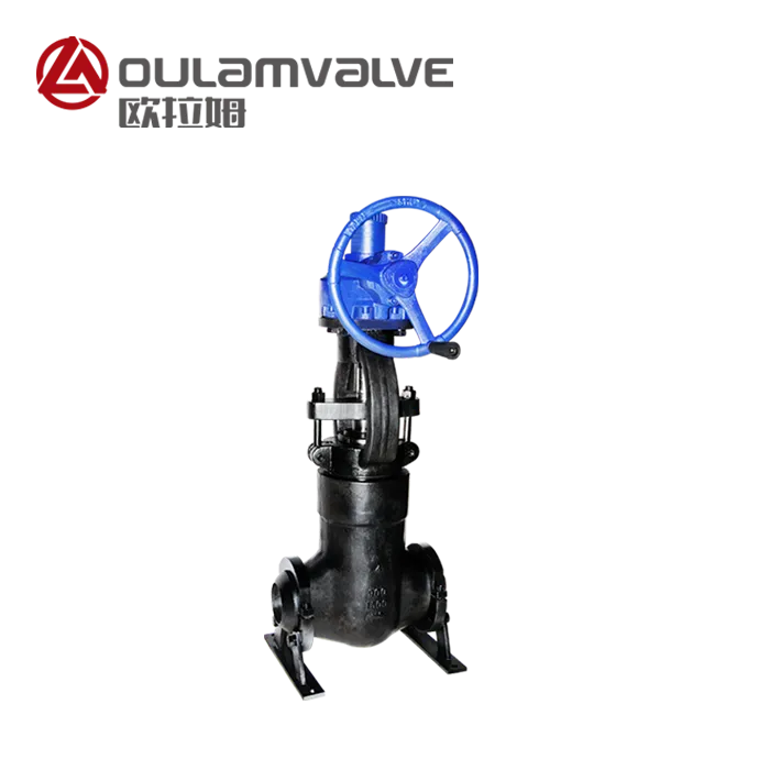 Power-Station High-Pressure Globe Valve Pj561Y — PVPeW 2026