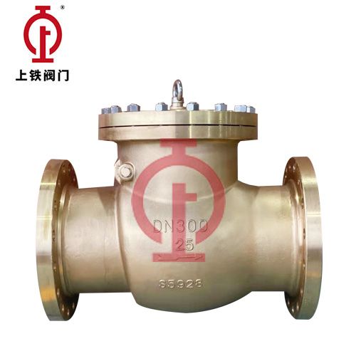 Dn300-H44H ASME-Standard Check Valve — PVPeW 2026