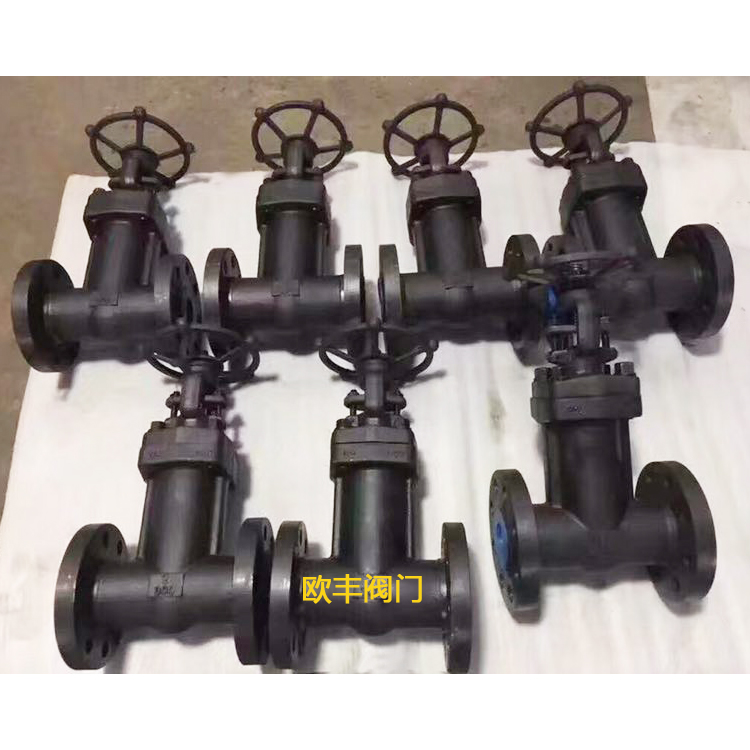 Manual Bellows-Sealed Gate Valve Flanged Bellows-Sealed Gate Valve A105N — PVPeW 2026