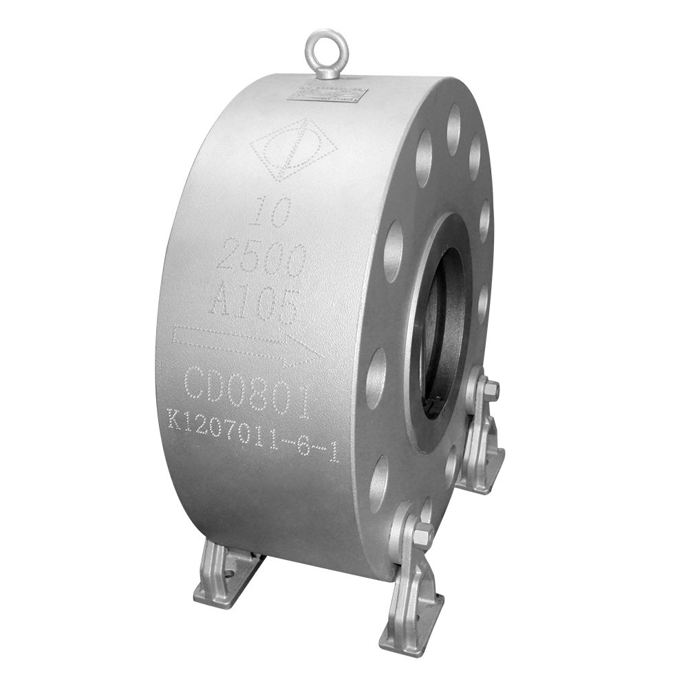 2500Lb Check Valve — PVPeW 2026