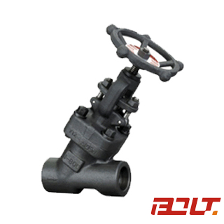 Y Globe Valve J11H/J61H/J11Y/J61Y — PVPeW 2026