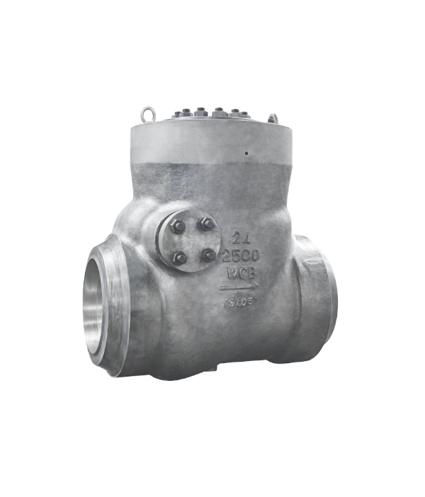 ASME-Standard Stainless Steel Welded Swing-Type Check Valve — PVPeW 2026