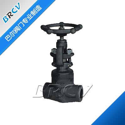 J61W Welded 304 Stainless Steel Globe Valve — PVPeW 2026