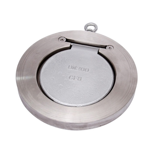 Stainless Steel Swing-Type Check Valve — PVPeW 2026