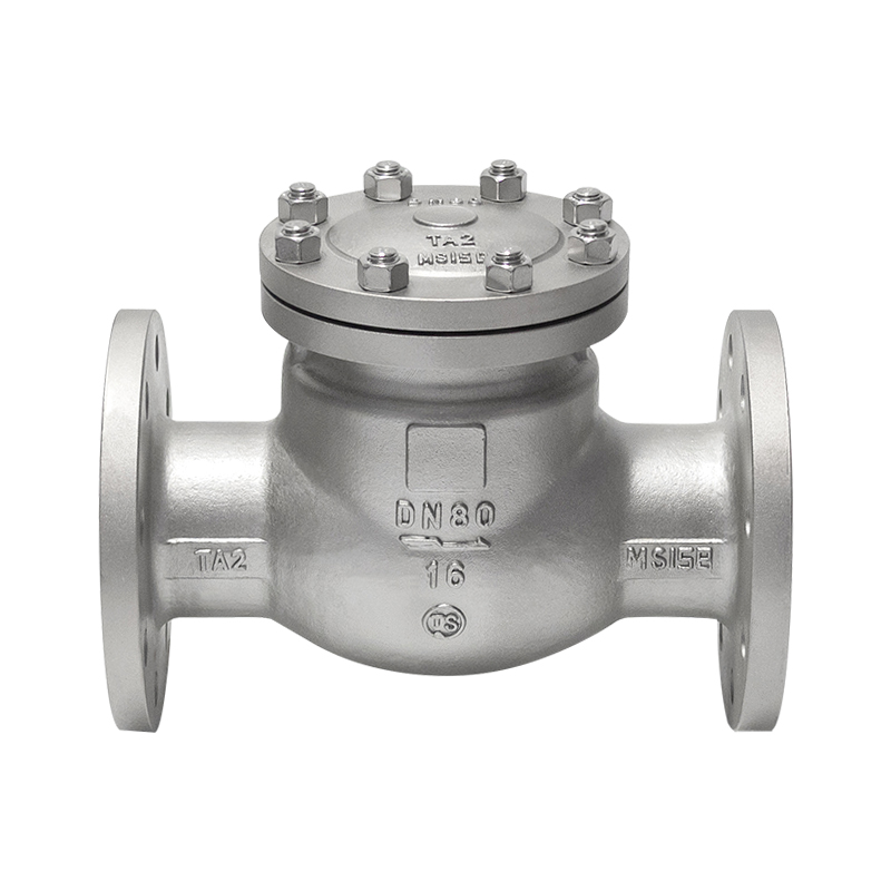 Check Valve H44W-16Ti — PVPeW 2026