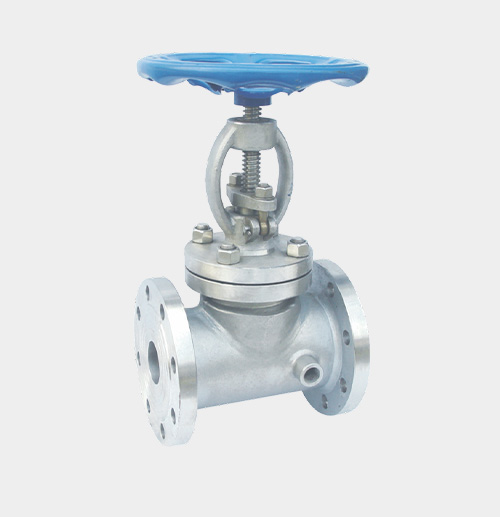 ASME-Standard Jacketed Globe Valve — PVPeW 2026
