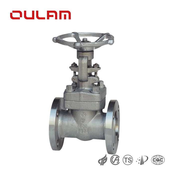 Stainless Steel Gate Valve Z41W_ _ Gate Valve — PVPeW 2026