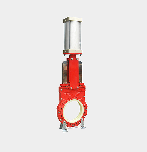 Gate Valve — PVPeW 2026