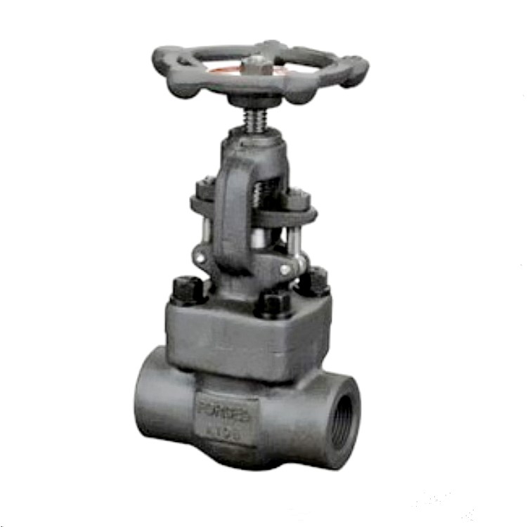 Z61H Gate Valve — PVPeW 2026