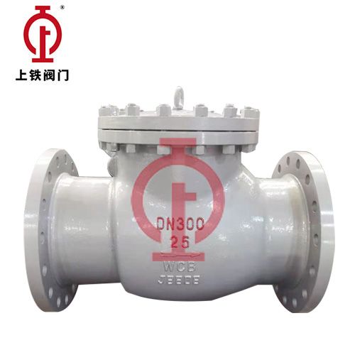 Dn300-25Lb Carbon Steel ASME-Standard Check Valve — PVPeW 2026