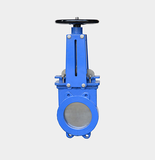 Cast Iron Gate Valve — PVPeW 2026
