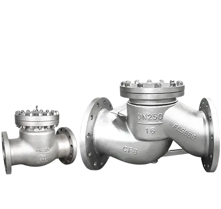 Check Valve — PVPeW 2026