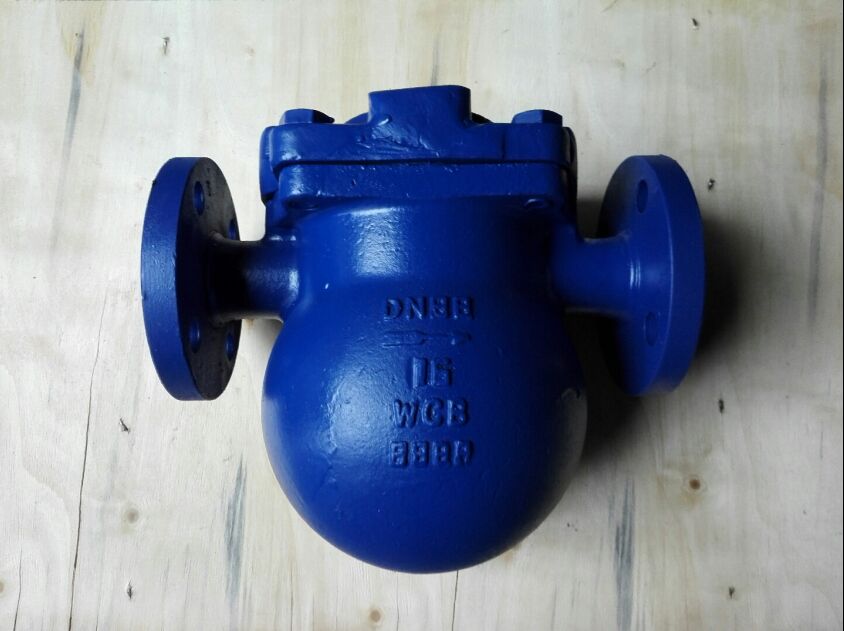 Float-Type Steam Trap — PVPeW 2026