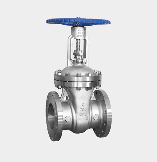 ASME-Standard Gate Valve — PVPeW 2026