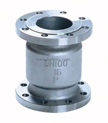 Vertical Check Valve — PVPeW 2026
