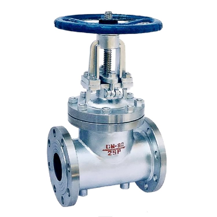 Stainless Steel Jacketed Gate Valve Bz41H — PVPeW 2026