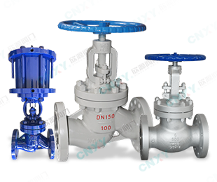 Globe Valve — PVPeW 2026