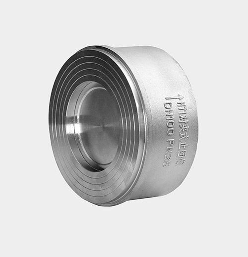 Wafer Check Valve — PVPeW 2026