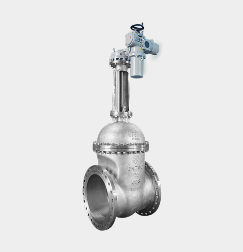 Electric-Actuated Stainless Steel Gate Valve — PVPeW 2026