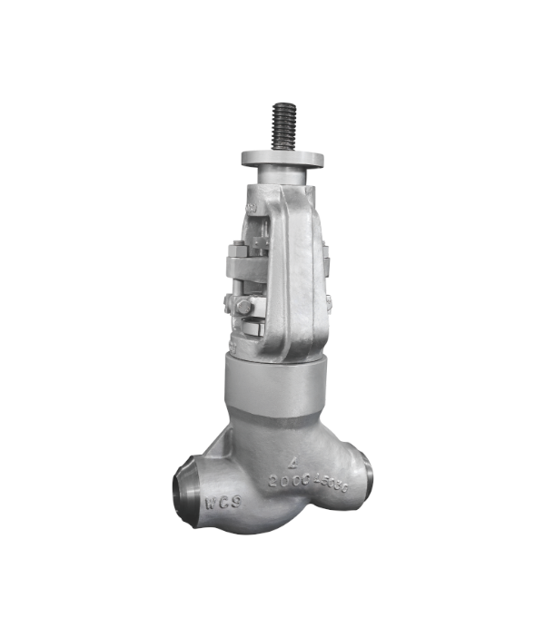 ASME-Standard Globe Valve — PVPeW 2026