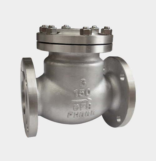 ASME-Standard Check Valve — PVPeW 2026
