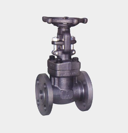 A105 Bellows-Sealed Gate Valve — PVPeW 2026