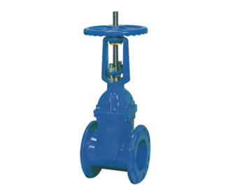 Stainless Steel Gate Valve — PVPeW 2026