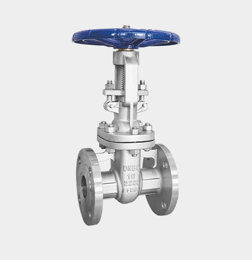 Stainless Steel GB-Standard Globe Valve — PVPeW 2026