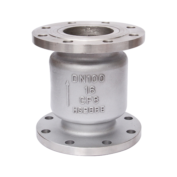 Stainless Steel Vertical Check Valve — PVPeW 2026