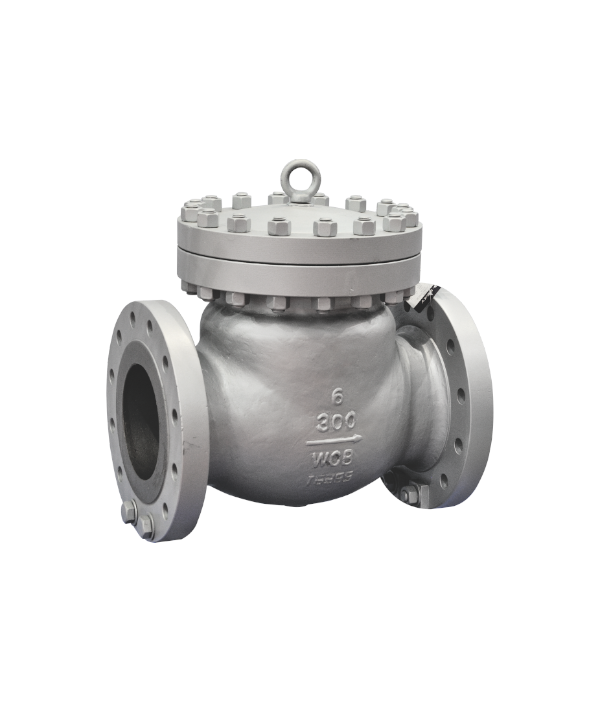ASME-Standard Cast Steel Swing-Type Check Valve — PVPeW 2026