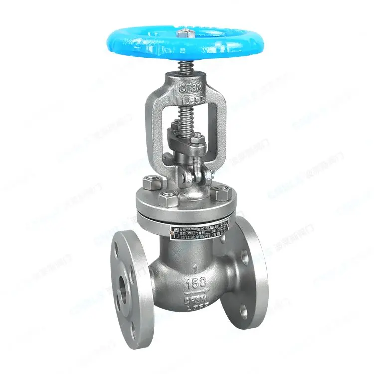 ASME-Standard Flanged Globe Valve — PVPeW 2026