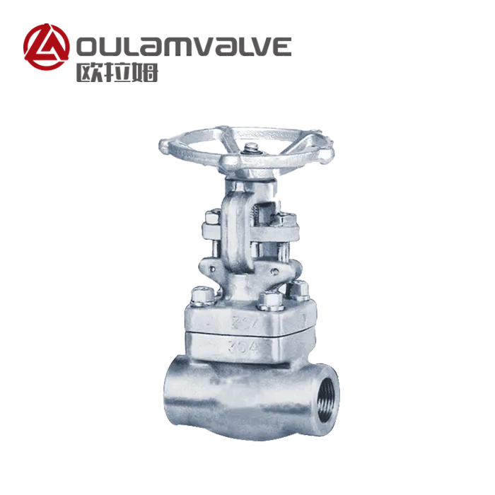 Stainless Steel Gate Valve Z11W — PVPeW 2026