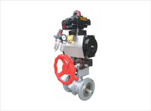 Control Valve — PVPeW 2026