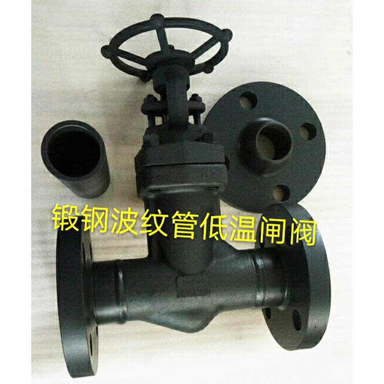 Bellows-Sealed Cryogenic Gate Valve Manual Bellows-Sealed Gate Valve Flanged — PVPeW 2026