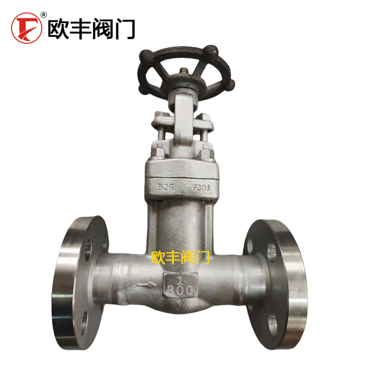 Industrial Valve F304 Bellows-Sealed Globe Valve Flanged Welded Stainless Steel — PVPeW 2026