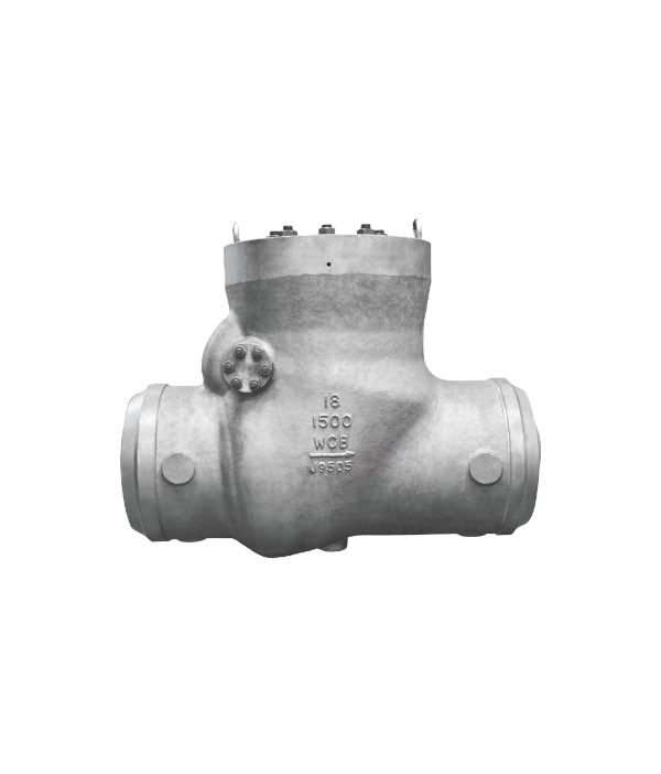 ASME-Standard Stainless Steel Welded Swing-Type Check Valve — PVPeW 2026