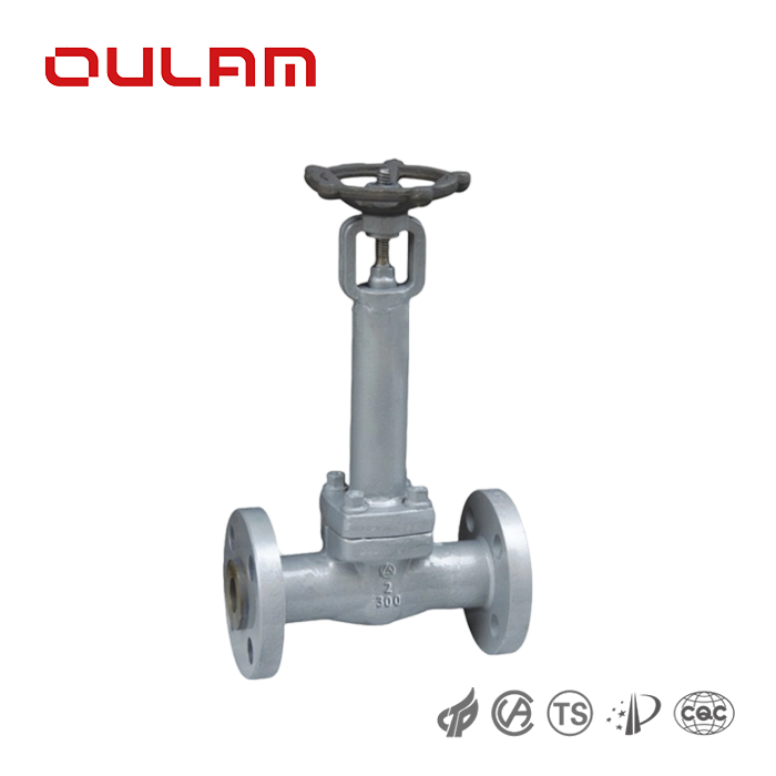 Cryogenic Gate Valve Dz41Y_ _ Gate Valve — PVPeW 2026