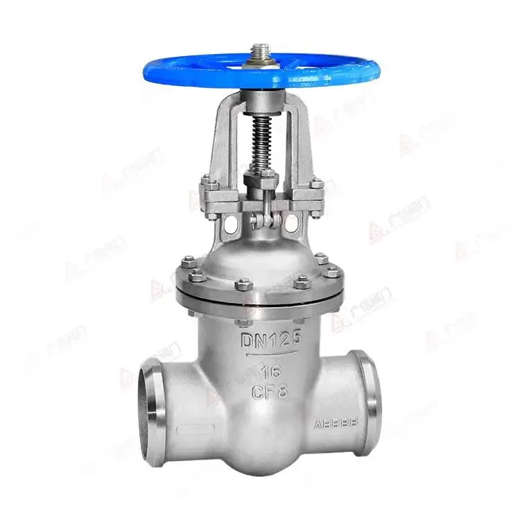 Welded Gate Valve — PVPeW 2026