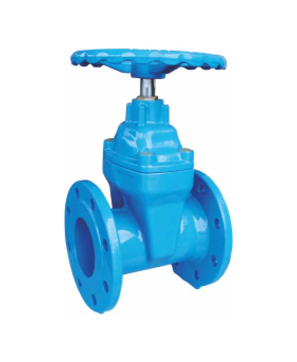 ： Dn50-1000 / 2”-40 — PVPeW 2026