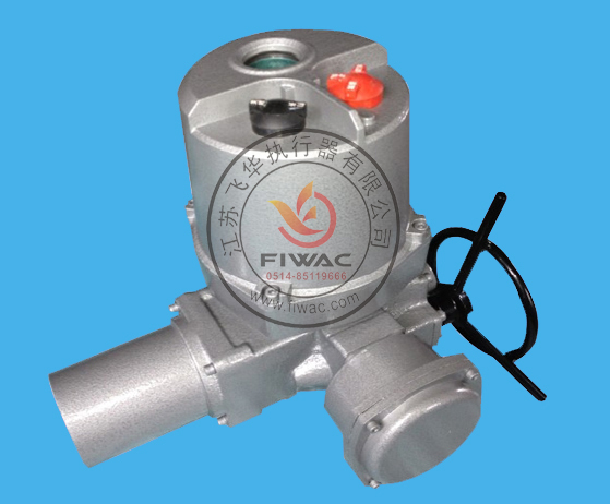 Electric Actuator Dqz10/20/30 — PVPeW 2026