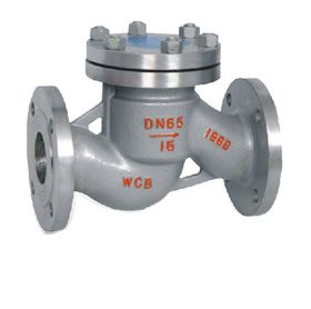 Lift-Type Check Valve — PVPeW 2026
