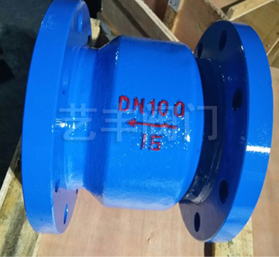 H42X(Drvz) Check Valve — PVPeW 2026