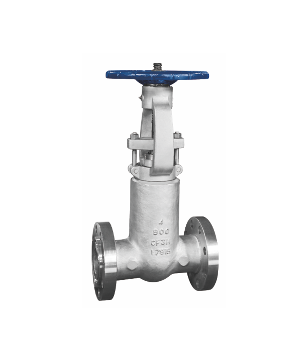ASME-Standard Gate Valve — PVPeW 2026