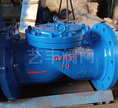 Hc44X(Sfcv) Check Valve — PVPeW 2026