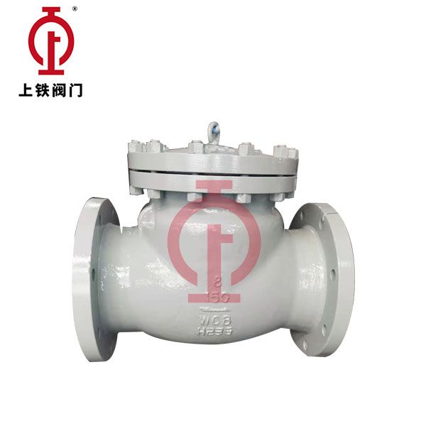 Swing-Type ASME-Standard Check Valve — PVPeW 2026